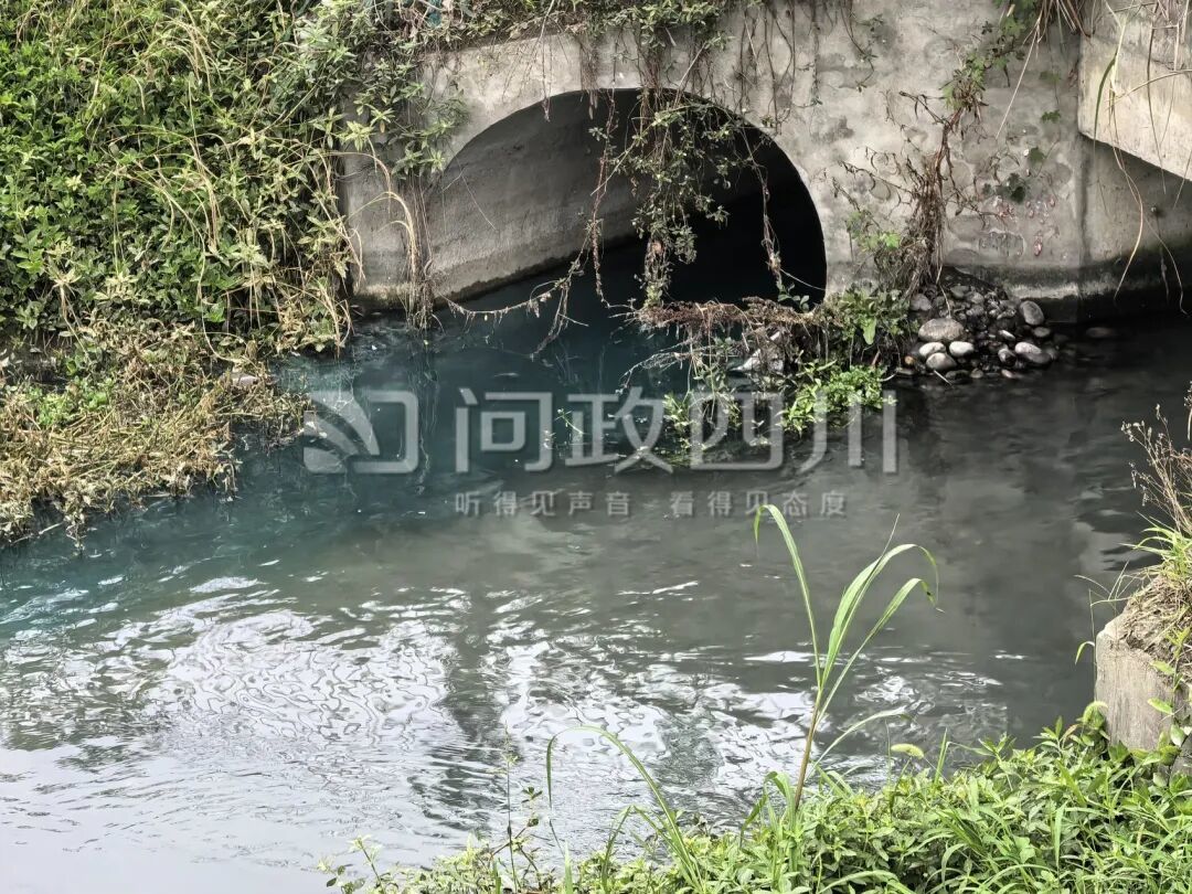 成都温江一地河水为啥突然变蓝？调查：非偷排，系污水管破损溢流造成