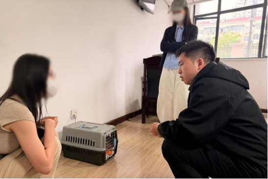 杭州俩姑娘曾是合租好友，后因为3只猫闹上法庭，结局出人意料……