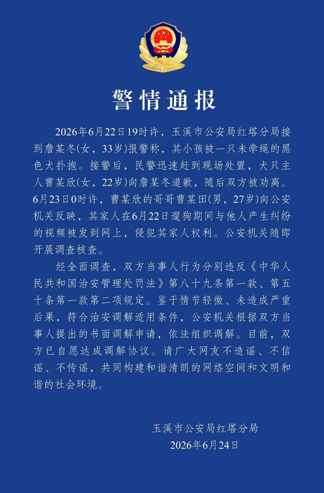 云南玉溪通报“一小孩被一只未牵绳的黑色犬扑抱”