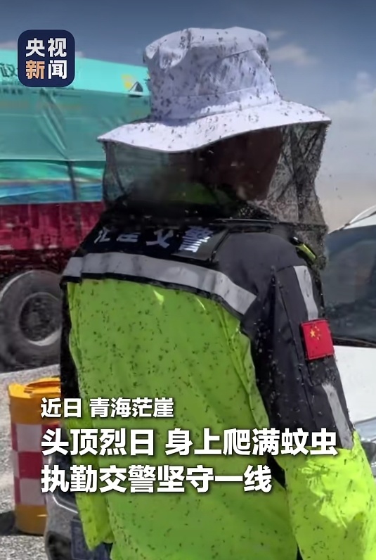 执勤时全身爬满蚊虫！网友：太心疼了